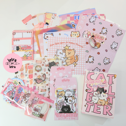 Kit journaling Cats letter